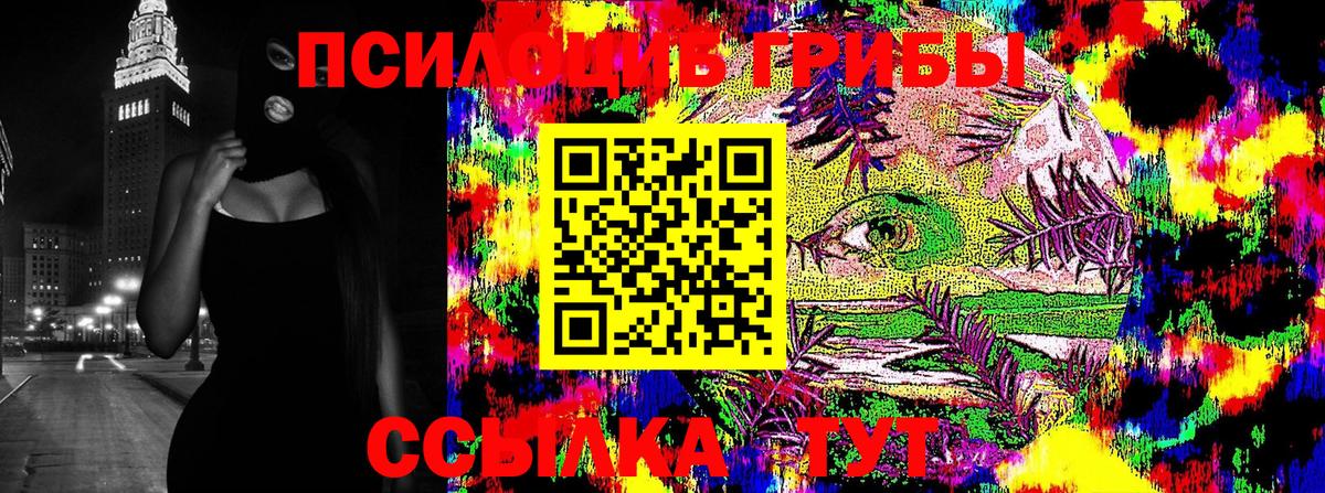 Галлюциногенные грибы Psilocybine cubensis  Галлюциногенные грибы MAGIC MUSHROOMS  Вход с VPN  Краснознаменск 